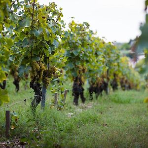 Villa Gite Au Milieu Des Vignes à Prignac-et-Marcamps Exterior photo