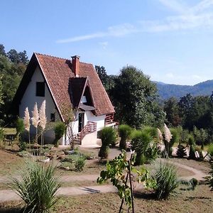 Villa Vikendica Popovic à Doboj Exterior photo