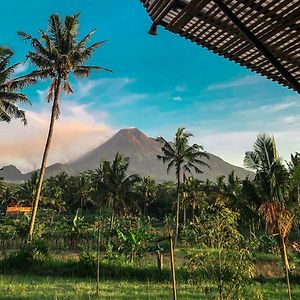 Bed and Breakfast Nyawang Merapi à Tjangkringen Exterior photo