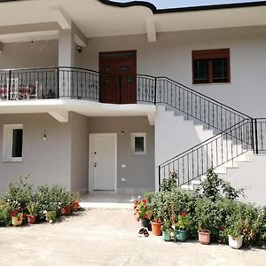 Appartement Bujtinat Peci à Elbasan Exterior photo