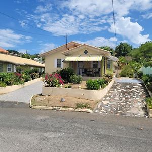 Villa Tropical Blessings - Ocho Rios à Saint Maryʼs Exterior photo