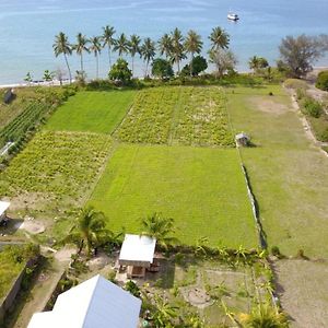 The Daun Puntik Homestay Pemenang Exterior photo