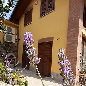 Bed and Breakfast Casa Lavanda à Rivoli  Exterior photo