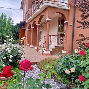 Bed and Breakfast Lily - Storie Del Bosco - à San Felice sul Panaro Exterior photo