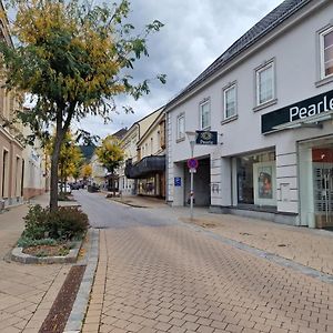 Appartement Gudzevic Ferien Unterkuenfte A - 5 à Gloggnitz Exterior photo