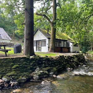 Villa Cuckoo Cabin, Tyn Y Cwm à Eglwys-Fach Exterior photo