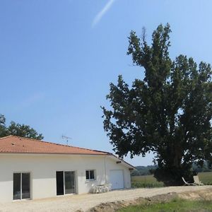 Villa Juine à Fargues  Exterior photo