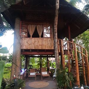 Maison d'hôtes Dumaguete Oasis Treehouse à Dumaguete City Exterior photo