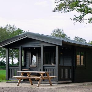 Villa Holiday Hut à Bornerbroek Exterior photo