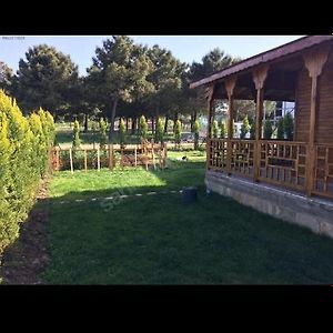 Villa Denize 300 Mt Camlik Icinde Bahceli Mustakil Ev à Çanakkale Exterior photo