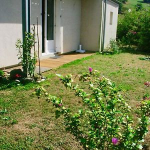 Villa 8 Pers Dans Residence Avec Piscine 5 Mn Luz Luz-Saint-Sauveur Exterior photo