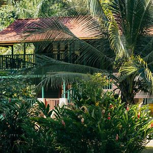 Bed and Breakfast Casa De Mono Bocas à Big Creek Exterior photo