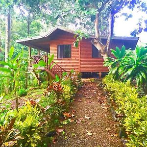 Villa Casitas Ginger à Quepos Exterior photo