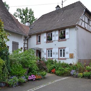 Bed and Breakfast Maison d'hôtes La Renardière à Reichshoffen Exterior photo