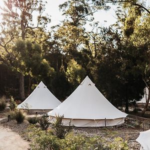 Bed and Breakfast Bay Of Fires Bush Retreat à Binalong Bay Exterior photo