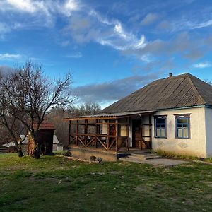 Villa Бабусина Хатка à Leplyavo Exterior photo