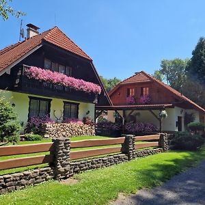Villa Chaloupka U Reky à Frýdlant nad Ostravicí Exterior photo