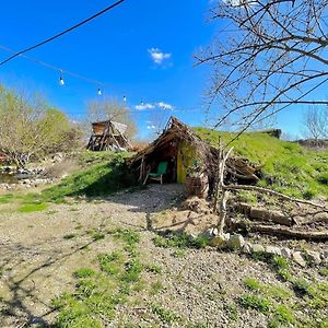 Villa Casa Din Povesti In Mijlocul Naturii! à Arad Exterior photo