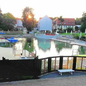 Villa Ferienhaus Strauss Nahe Der Kyffhaeuser Therme à Bad Frankenhausen Exterior photo