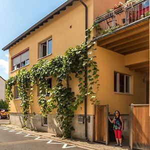 Appartement Unter Den Reben à Niederkirchen bei Deidesheim Exterior photo