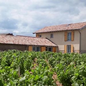 Villa Maison Entiere Au Coeur Des Vignes Des Trois Bacchantes ! à Saint-Etienne-la-Varenne Exterior photo