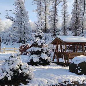 Villa Ma roulotte sous les chênes- Au naturel à Raon-aux-Bois Exterior photo