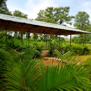 Dandeli Aura Jungle Stay Exterior photo