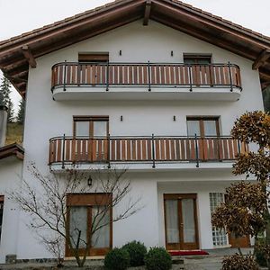 Villa Vila Kony à Borşa Exterior photo