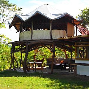 Villa Tarzan Treetops à Manzanillo  Exterior photo