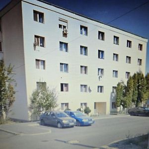 Appartement Vigaro Vgr à Braşov Exterior photo
