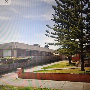 Two Pines, Whole Home In Tullamarine Near Airport! Ville de Ville de Melbourne Exterior photo