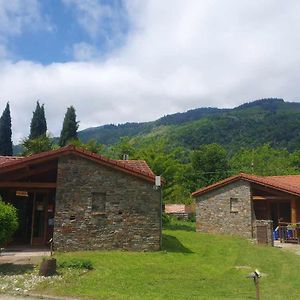 Chalets A 10 Minutes De Foix Mercus-Garrabet Exterior photo