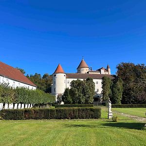 Villa Charming Castle In Austria à Schwertberg Exterior photo