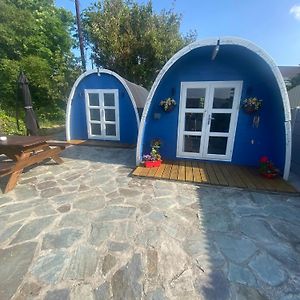 Villa A House And A Half On Beara Peninsula à Castletownbere Exterior photo