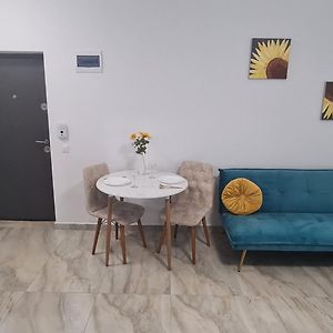 Appartement Marble Studio à Bucarest Exterior photo
