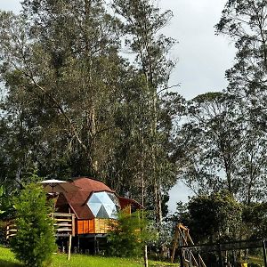 Hotel Glamping Shalom à Choachí Exterior photo