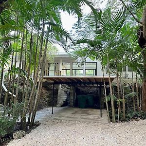 Villa Coconut Grove Mid-Century Jungle Oasis à Miami Exterior photo