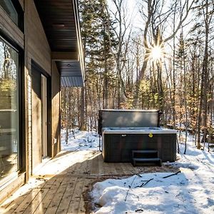 Villa Chalet Terre En Harmonie Avec La Nature, Tremblant à Lac-Supérieur Exterior photo