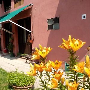 Ecogarden Camping With Rooms Chirignago-Zelarino Exterior photo