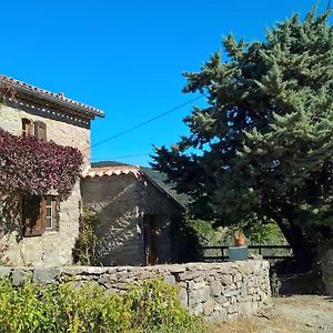 Villa La Bergerie En Cevennes à Mialet  Exterior photo