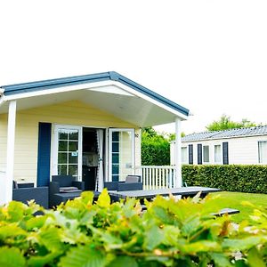 Villa Chalet With Veranda Near Drunense Dunes à Udenhout Exterior photo