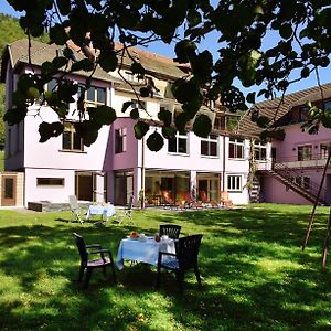 Logis Hotel Des Vosges Sewen Exterior photo