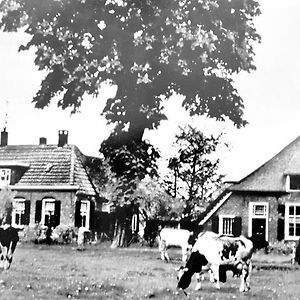 Villa De Jagtlust à Nieuwleusen Exterior photo