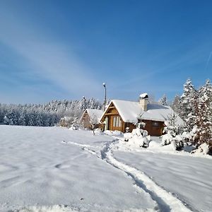 Chatky A Apartmany Apollo Na Vysocine Nove Mesto na Morave Exterior photo