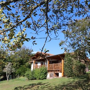 Villa Maison de vacances vue exceptionnelle sur les montagnes basque à Ossès Exterior photo