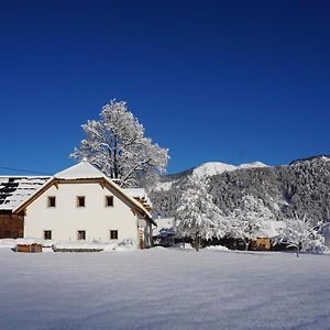 Appartement Ferien Am Land - Waldbauer à Rossleithen Exterior photo