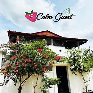 Villa Calm Guest à Trincomalee Exterior photo