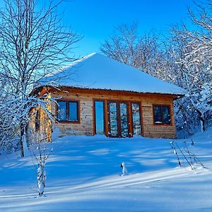 Villa Козацька Фортеця à Pliskachevka Exterior photo