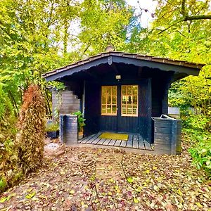 Appartement Tiny Haus Glamping - Natur Park à Schlangenbad Exterior photo