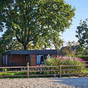 Villa Houten Huisje Tussen Paarden à Nieuwerkerken Exterior photo